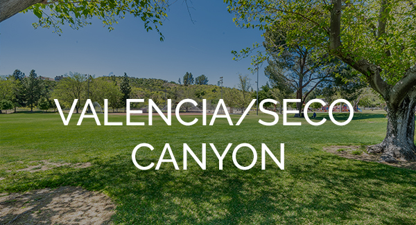 Valencia-Seco Canyon